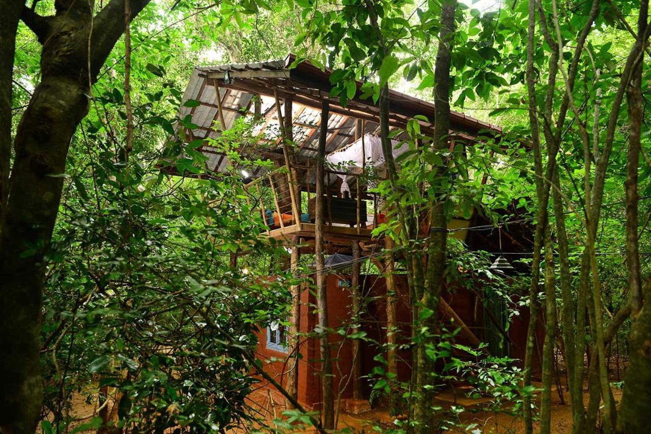 Back Of Beyond - Pidurangala Villa Sigiriya Eksteriør billede