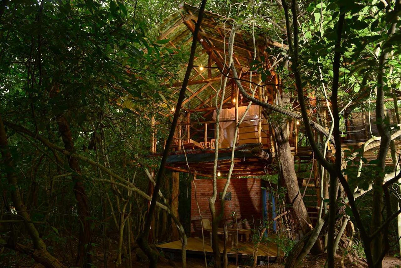 Back Of Beyond - Pidurangala Villa Sigiriya Eksteriør billede