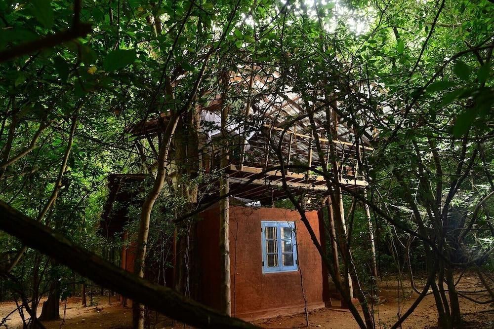 Back Of Beyond - Pidurangala Villa Sigiriya Eksteriør billede